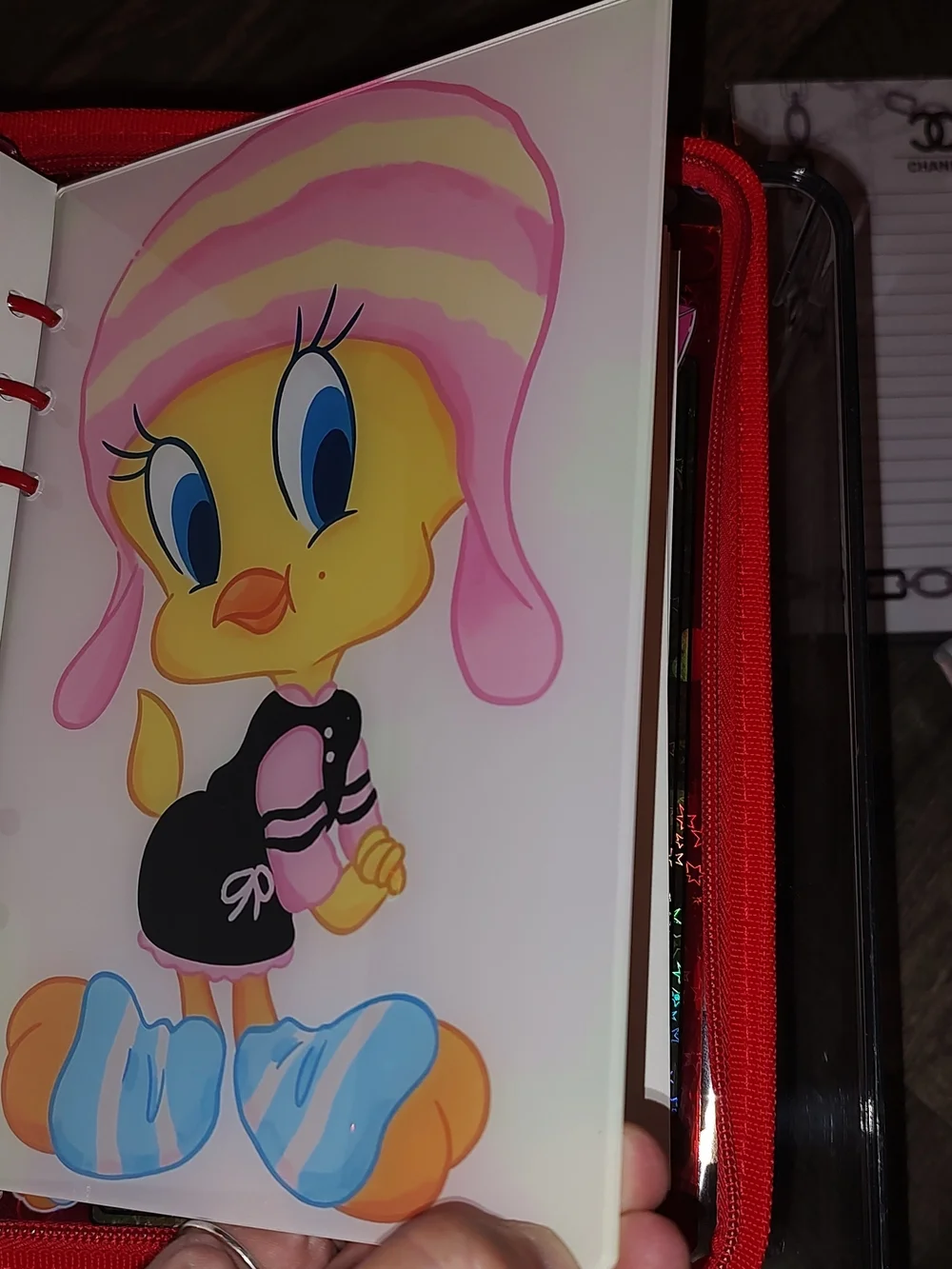 New! A5 Size Tweety Bird Acrylic Shaker Notebook